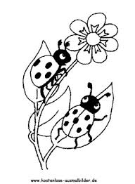 Weitere ideen zu marienkäfer ausmalbild, ausmalbilder. Ausmalbild Zwei Marienkafer 1 Zum Ausdrucken