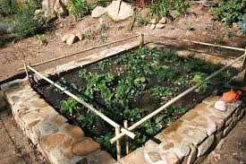 Bird Netting For Garden Uk The Polished Pebble March Gardening The Spring Planting Month Backyard Growing Sloped Garden Garden Netting