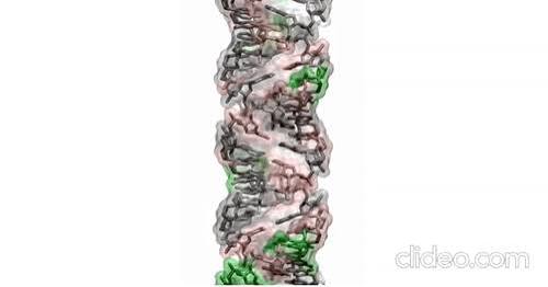 Multiscale Simulations of DNA: From Quantum Effects To Mesoscopic Processes | From Atoms To Words