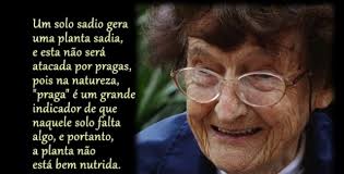 Ana Primavesi, precursora da agroecologia no Brasil, completa hoje 93 anos. 
