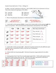 Collection of worksheet 16 dihybrid cross reteaching skills answers from dihybrid cross worksheet answers , source: Chapter 10 Crosses Involving Two Traits Worksheet Answers Tutorial For Iphone On 5g Malding Site