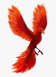 Phoenix bird stylized silhouettes icons on white background. Feather Phoenix Bird No Background Hd Png Download Transparent Png Image Pngitem