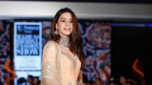 Who is Ranya Rao? The Kannada actress arrested in Bengaluru airport for smuggling  gold bars from Dubai - The Hindu