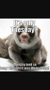 Tuesday is only the beginning of the week. Happy Tuesday Meme Funny Work