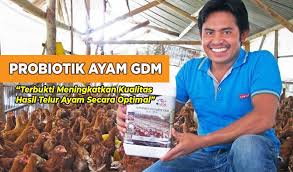 We did not find results for: Cara Budidaya Ayam Petelur Secara Lengkap Dan Telah Terbukti