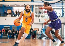 Wildcats' Quest for Third Straight NEAC Title Falls Short with 73-69 loss  to Wells