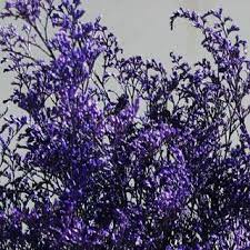 Caspia Purple Caspia Preserved Purple Caspia For Dried Florals Or Wedding Bouquet Large Bunch Wedding Bouquets Floral Bouquet