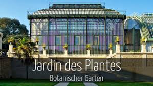 April 2021 der botanische garten grüningen ist ab 1 einen ausschnitt ihres siegerbildes finden sie hier. Bester Platz Fur Einen Minztee Die Grosse Moschee In Paris Stadtpfade