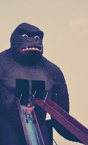 Gorilla Is Lactating Gorilla King Kong Weird And Wonderful