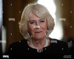 Children buckingham palace hi-res stock photography and images