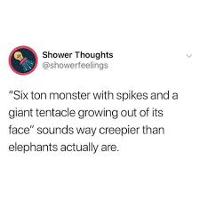 Image May Contain Text That Says Shower Thoughts Showerfeelings Funny Deep Thoughts Mind Blowing Thoughts Really Funny