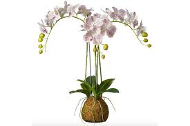 We did not find results for: 11 Best Artificial Flowers And Plants That Could Pass As The Real Deal British Vogue