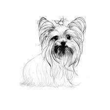 Yorkshire Terrier Coloring Pages Dog Breeds Picture Sketch Coloring Page Teacup Yorkie Dog Breeds Pictures Yorkshire Terrier