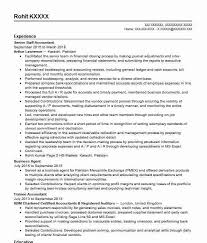 Senior Staff Accountant Resume Example Executive Charge Inc Brooklyn New York