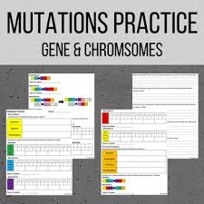 Dna mutation simulation answer key pdf. Dna Mutations Practice Worksheet With Answer Key Laney Lee