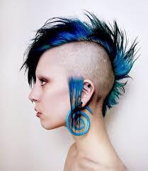 Hlavným účesom pre punkových fanúšikov je iroquois. 370 Punk Girls Ideas Emo Ucesy Rockerky Modre Vlasy