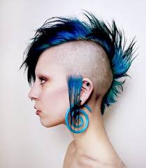 Punkovej ježíšek se zasek o vánocích v hospodě, ale už se probral z kocoviny a nadělil do playlistu kapelu na těchto. 370 Punk Girls Ideas Emo Ucesy Rockerky Modre Vlasy