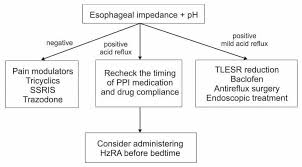 Gejala heartburn mungkin bertambah buruk setelah anda makan dalam porsi yang banyak atau saat anda berbaring. Diagnosis Dan Tatalaksana Gastroesophageal Reflux Disease Gerd Kedokteran Caiherang