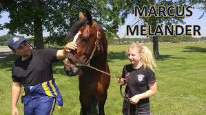 Hambletonian TrotCast: Marcus Melander #hambo17 #harnessracingfz  #harnessracing