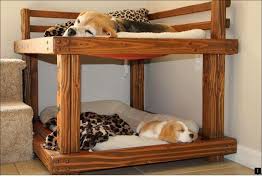 Find More Information On Murphy Bed With Storage Check The Webpage For More Info Do Not Miss Our Web Pages Dog Bunk Beds Dog Furniture Pallet Dog Beds