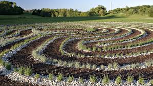 Garten Universitat Hohenheim