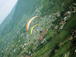 Image result for Paralayang omah kayu