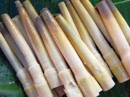 Image result for gambar rebung buluh