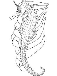 The coloring page doesn't include a seahorse so we used this one from making learning fun. Seahorse Coloring Page Coloring Home