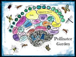 How to create a butterfly garden. Garden Plan For Attracting Pollinators Keeping Backyard Bees