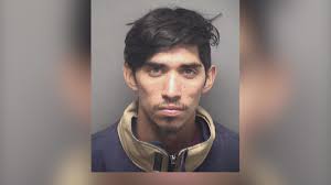 Man charged in the hit-and-run deaths of two teens