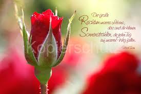 Rosen Bilder Mit Spruche