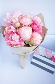 Pin On Life With Vividness