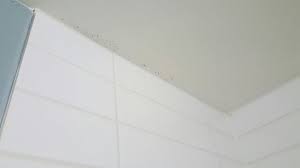 What are those black spots on the bathroom ceiling? Some Black Spots On Ceiling In Bathroom Looked Like Mold Picture Of Beach House Hilton Head Tripadvisor