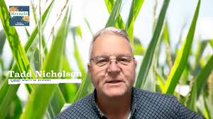 On this episode of Kernels, Tadd Nicholson gets into the lessons of the  latest WASDE report with Krista Swanson, Lead Economist of the National  Corn Growers Association. Listen at the link in our bio! ...