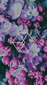 Flowers Purple And Wallpaper Image Flower Wallpaper Purple Wallpaper Iphone Wallpaper