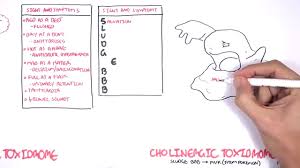Cholinergic And Anticholinergic Toxicity Toxidrome