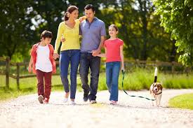 Find a vet care mobile clinic. Low Cost Pet Clinic Event At Vet Care Coming To West Garden Grove City Of Garden Grove