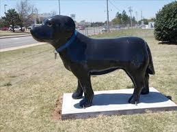 Pet medical center of edmond. Pet Center Canine Edmond Ok Dog Statues On Waymarking Com