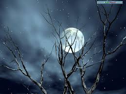 Kết quả hình ảnh cho ánh trăng chếch