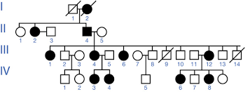 Module 6