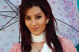 Image result for desi bhabhi