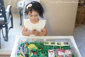 Get started with sensory activities for toddlers. Butterfly Sensory Bin With Scavenger Hunt And Life Cycle Activities Free Printables Living Montessori Now