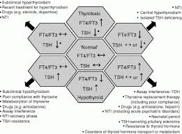 Image result for Thyroid Function Test