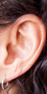 The eustachian tube works to keep. Pimple In Your Ear Why You Get Acne In Your Ear And How To Treat It Self