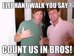 Elephant Walk You Say Count Us In Bros Scumbag Frat Boys Quickmeme