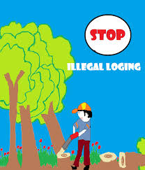 188+ gambar poster tentang dampak siklus air bagi kehidupan terpopuler.materi siklus air (siklus hidrologi) : Menggambar Poster Siklus Air Semburat Warna