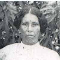 Ventura Falcon (1876–1919)