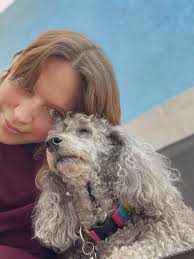 Muttville Senior Dog Rescue