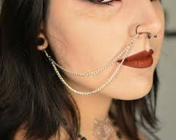 Silver Stainless Steel Nose