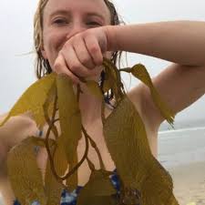 Kate Cavanaugh (@katiecavs)